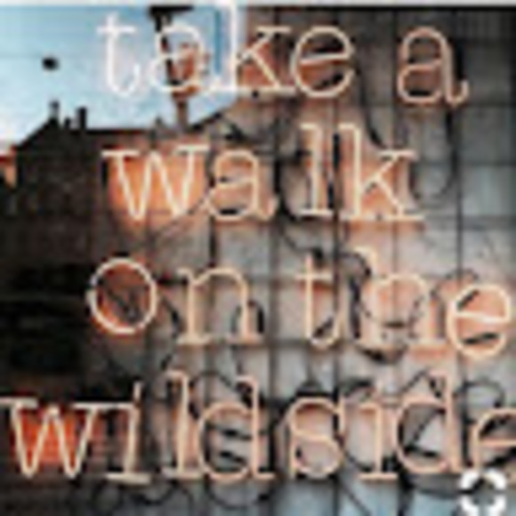 Meet your Posher, Sophie - Picture 1 of 1